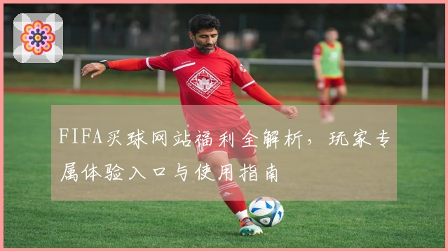 FIFA买球网站福利全解析，玩家专属体验入口与使用指南